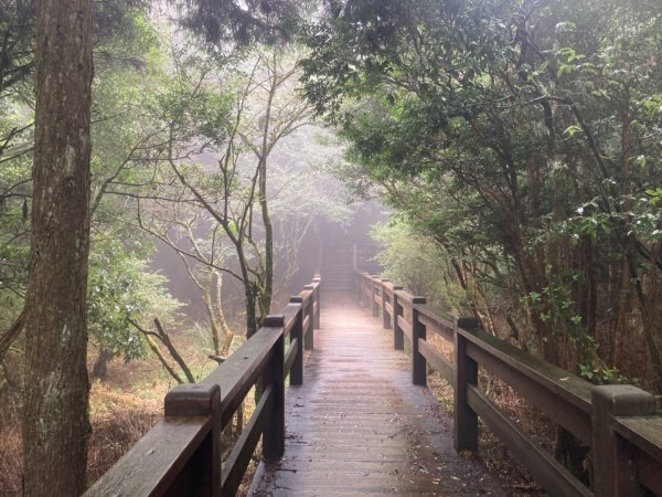 檜山巨木群森林步道2316107