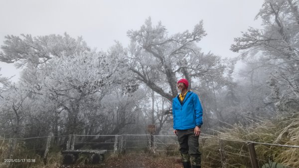 #望洋山 #太平山觀雲步道 #霧淞 #雲海 #帝雉 3/172737672