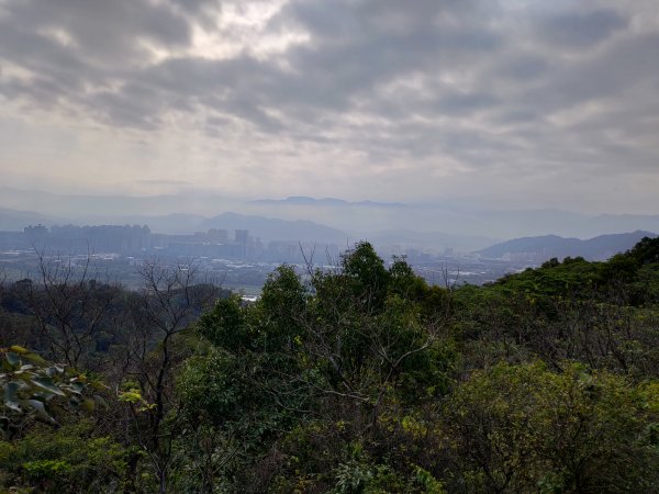 鶯歌石-牛灶坑山-孫龍步道O型836888