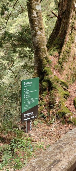 拉拉山國家森林遊樂區2752228