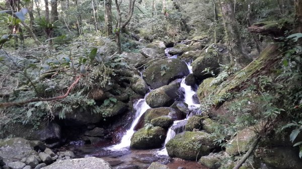 20190912 從雲森瀑布登樂佩山679441