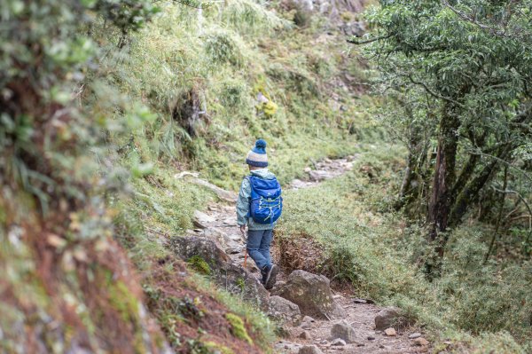 玉山前峰-翻越石瀑的第五座百岳之旅。2254859