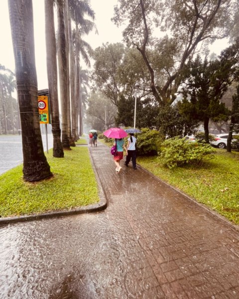雨天備案💙 台灣博物館的古生代館-台大動植物館免費參觀-北投♨️季2807523