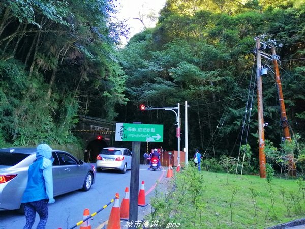 【台中。和平】綠蔭杉林大口森呼吸。 橫嶺山自然步道x橫嶺山主峰1497926