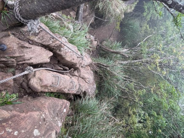 20250607 春谷養鱒場所上加里山 出大坪2805235