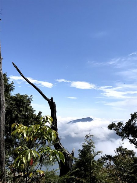 高島縱走（高台山連走島田山）202105081968744