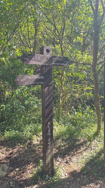 大屯山五連峰含面天山2934610