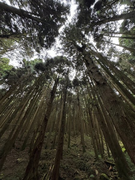 漫步特富野古道2371477