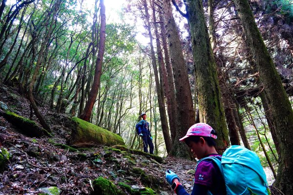 樂山舊鐵道順撿鹿坑山1320450