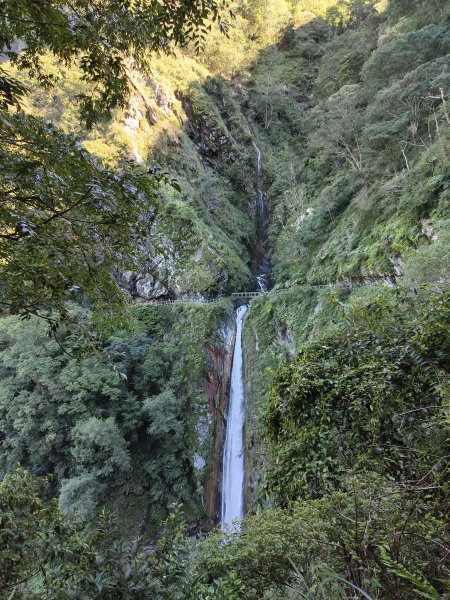 [玉山尋寶任務-07/12] 2025_0824 八通關雲龍瀑布步道2870712