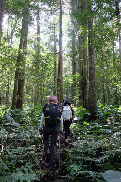 新竹尖石鄉 煤源社區上李棟山、大混山出凌空廊道2550496