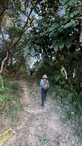 20251222竹東三山步道O型連走(樹杞林山、新具庄山、員崠子山)2975776