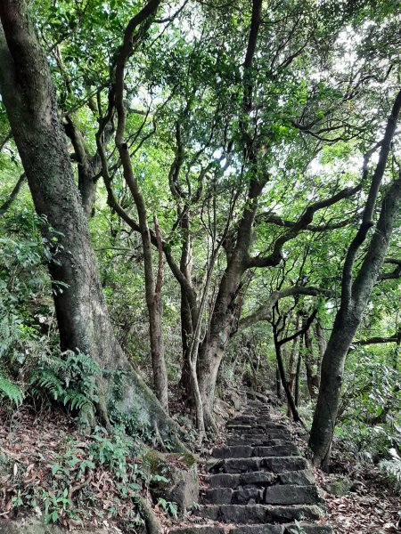 七星山系｜看盡草山百年滄桑1828200