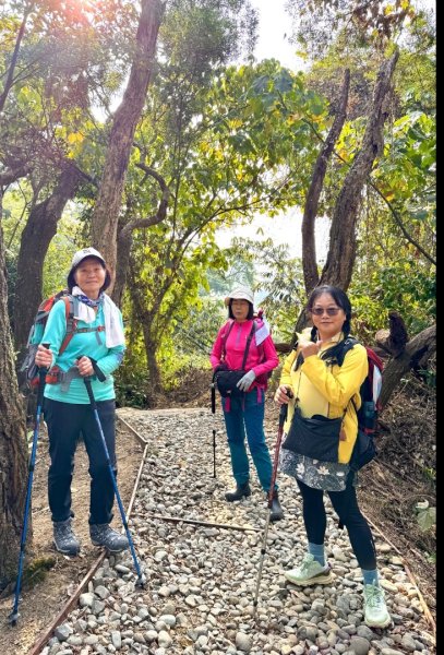 荷苞山登山步道走荷芭山小溪子山 午餐吃塔可飯幸福耶2996086