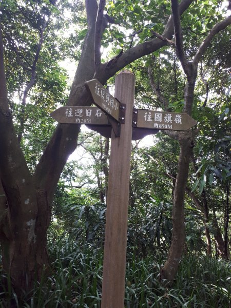 外南勢角山(國旗嶺)-圓通寺環山步道1700507