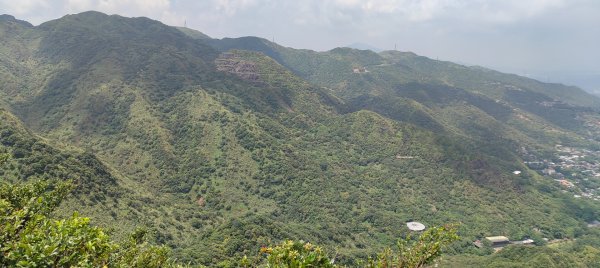 無耳茶壺山3106598
