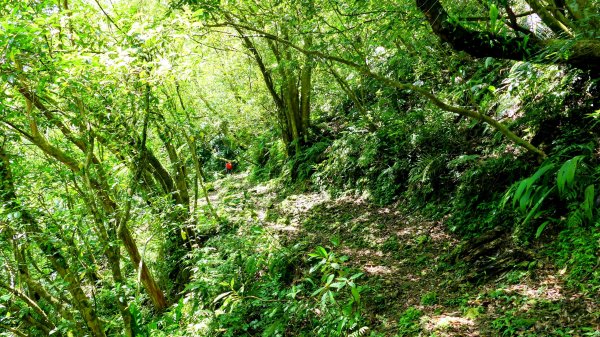 畝畝山。又上說2768158