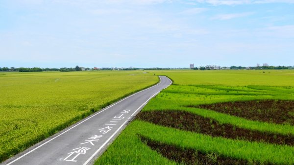 三奇美徑,52甲溼地2813332