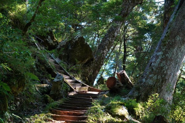 南橫三星 | 前緣再續。關山風月登庫哈諾辛、塔關山順訪中之關。1780026