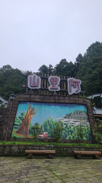 2023-0910 阿里山塔山步道2284429