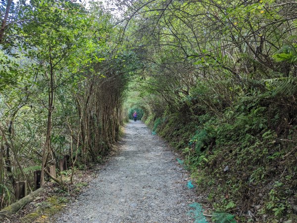 聖母登山步道（抹茶山）。三角崙山(小百岳)。巴唐古道1800594