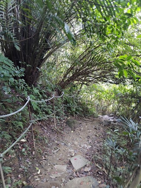 臺北大縱走第六段 中華科技大學至捷運麟光站2764467