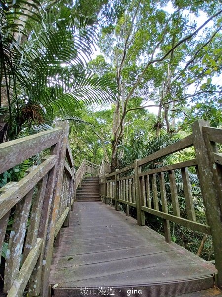 【苗栗南庄】沿途潺潺溪水聲。 蓬萊溪護魚步道2688924