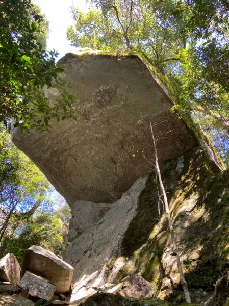 南庄加里山大坪大湳山麓2034099