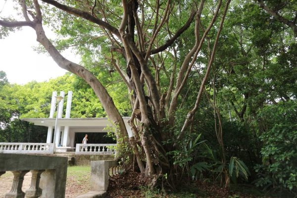 唭哩岸山 奇岩山 東華山。唭哩岸烏尖連峰步道 懸崖峭壁巨石 攀岩愛好的天堂2175909