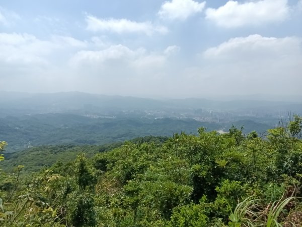 內湖區大丘田保甲路+開眼山+白石湖山+白石湖山東峰+大邱田山+消防山O型2858916