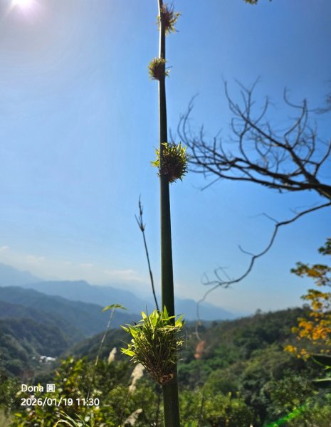 20260119飛沙縱走東段加碼9連峰大O走2988929
