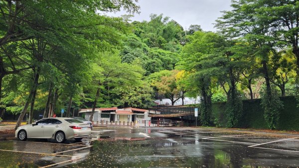 【南投民間】松柏嶺步道連走松柏坑山2601689