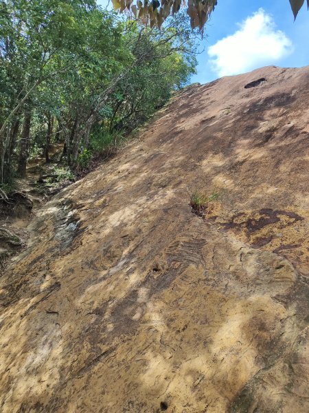 微笑山線：【二格山系】筆架連峰段2920978