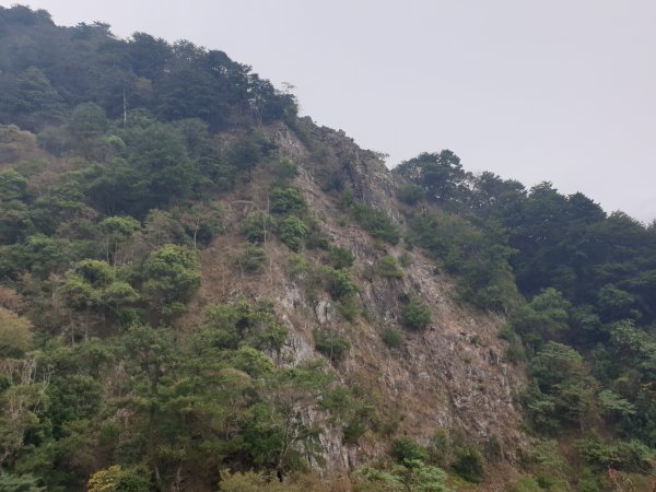 麗陽上屋我尾山2683110