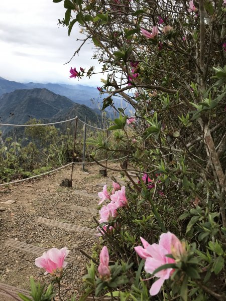 110年1月22日苗栗 馬那邦山1425228