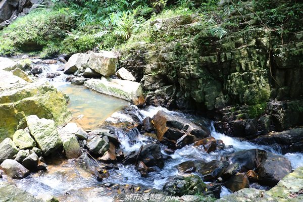 【南投。魚池】山林秘境之美景包場。澀水水上瀑布1428440