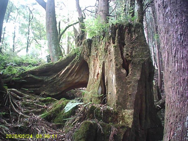 兒玉(自忠)山、東水山、東水山西峰及特富野古道O繞。3061777