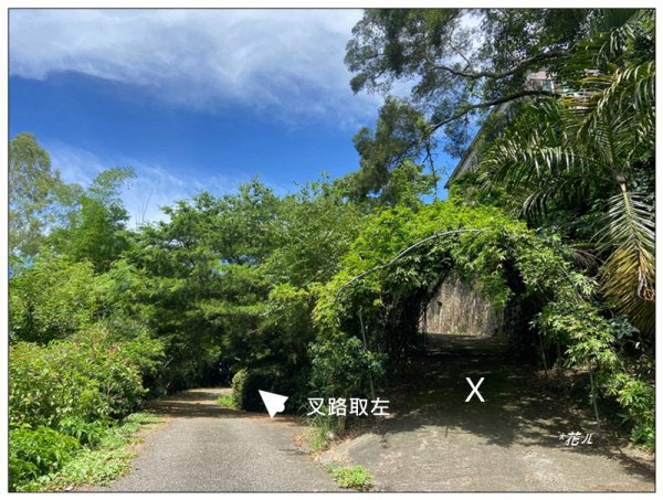 下太平山 (苗栗、卓蘭)2841418