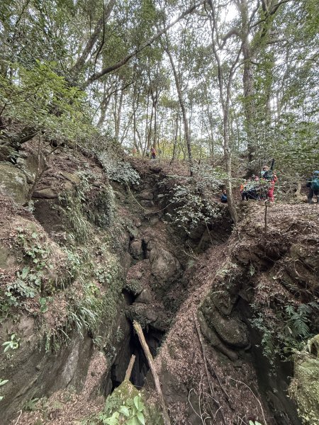 大坪祕境的奇岩2672555