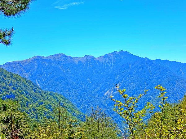 能安縱走--與高山湖泊、水鹿大軍相遇-1955429