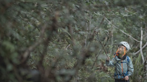 瓦拉米步道-佳心營地住一晚2708468