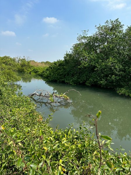 內海之路從台江國家公園管理處走道兒南公園2331318