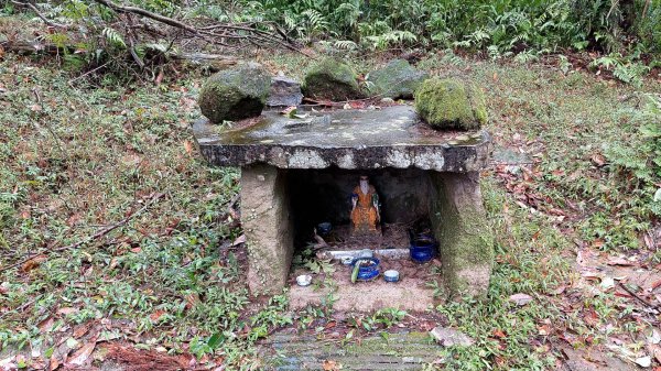 陽明山後花園，百年靜美牧牛山徑，古道草原精華連走2787726