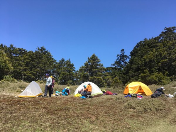 7彩湖順登6順山931429