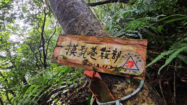 艋舺崙古道上新路尾山連走大平林山古厝O走3102731