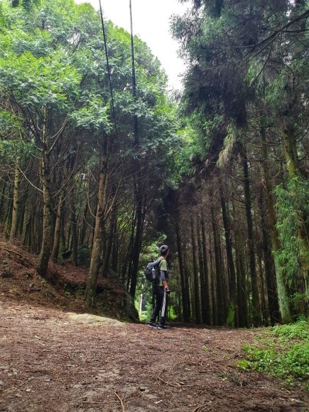 新竹民都有山，鵝公髻山，五指山，桃園赫威神木群步道，赫威山，高坡彩虹瀑布，苗栗山塘背步道，小北埔山1685655