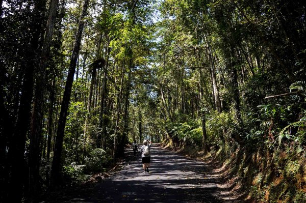 貓囒山小百岳2884991