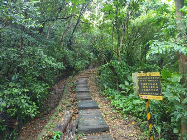 2025.09.07－金面山2880198