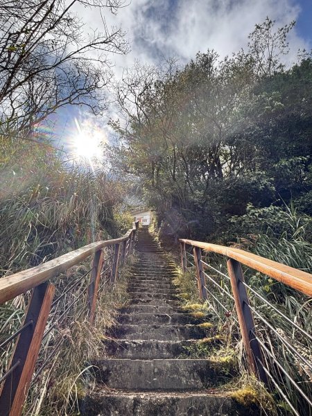 20260212回嘉遊的大塔山2999906