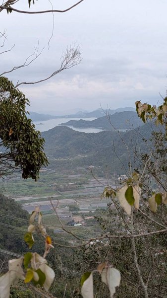 後尖山步道3008307